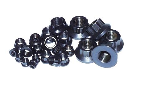 ARP 1/4-28 SS 12pt Nut Kit