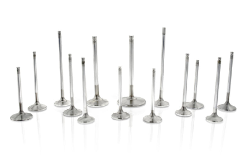Ferrea Chrysler Big Block 2.02 Head 5/16 Stem Dia 6000 Series Competition Intake Valve - Set of 8