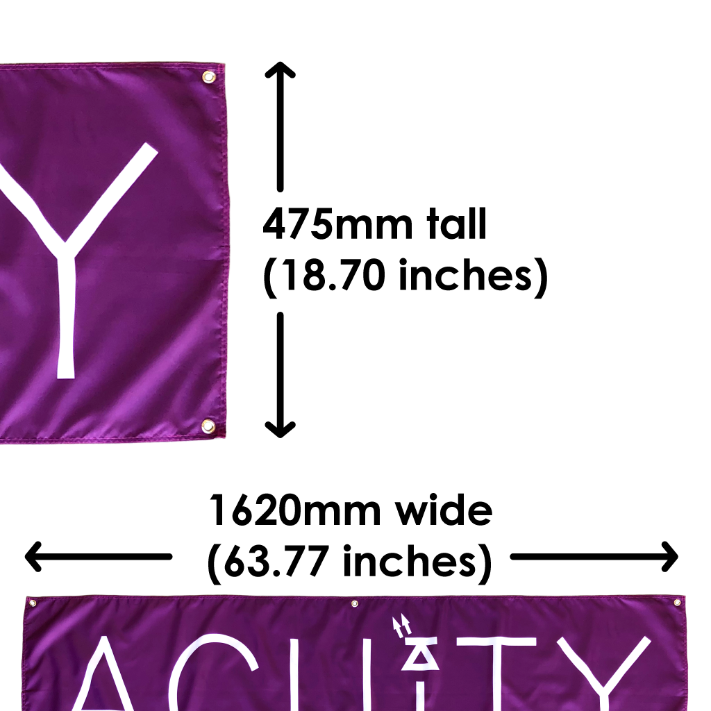 ACUiTY Instruments - ACUITY Paddock Banner - 1938