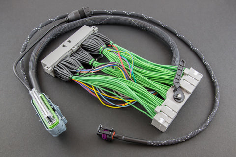 Boomslang Fabrication - AEM EMS-4 Harness - 2008-12 Accord - BF14085