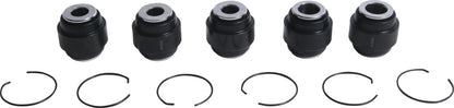 All Balls Racing Rear Ind. Suspension Kit