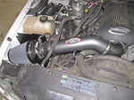 AEM 99-06 Chevy/GMC 5.3/6.0L Silver Brute Force Intake