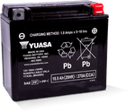 Yuasa YTX20L Maintenance Free AGM 12 Volt Battery