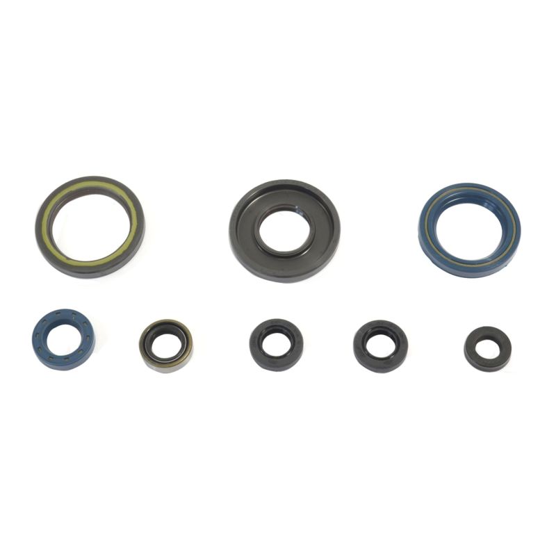 Athena 84-89 KTM 250 GS-MX Engine Oil Seal Kit