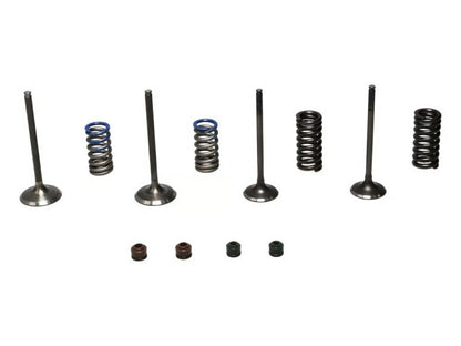 Wiseco 08-09 CRF250R Steel Valve Set