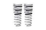 Eibach 14-21 Ram 2500 Diesel 4WD Pro-Truck Rear Springs