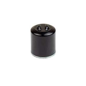 Athena 05-21 Polaris 200 Oil Filter