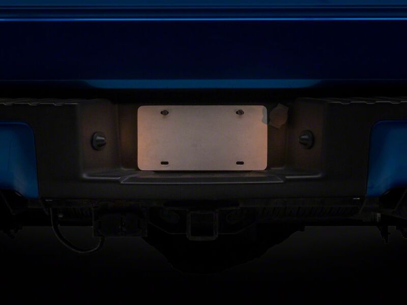 Raxiom 97-14 Ford F-150 Axial Series License Plate Lamp Housings