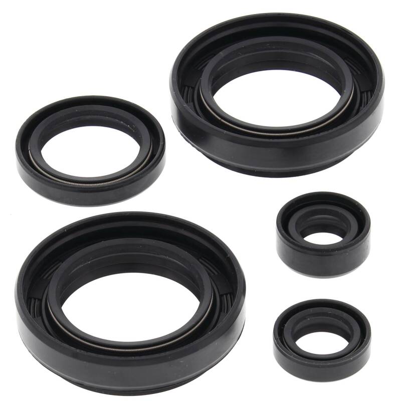 Vertex Gaskets 03-04 Arctic Cat 400 4x4 w/MT Oil Seal Kit