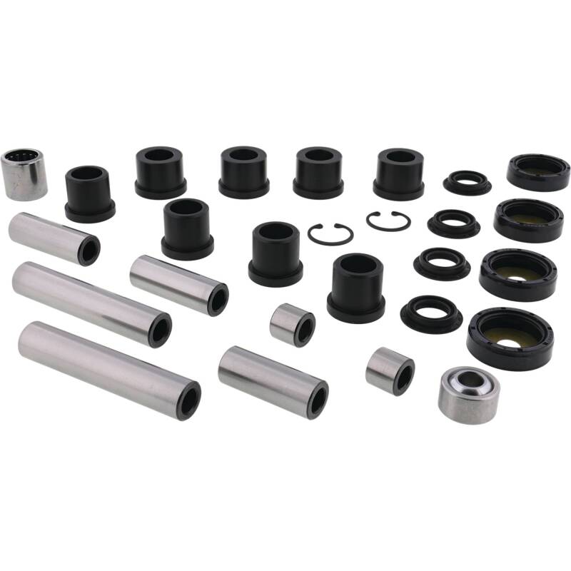 All Balls Racing Rear Ind. Suspension Kit