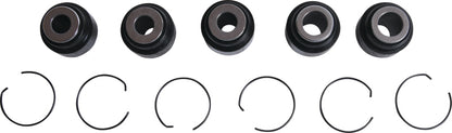 All Balls Racing Rear Ind. Suspension Kit
