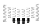 Eibach 18-21 Polaris RZR XP Turbo Pro-UTV Stage 2 Performance Spring System (Set of 8 Springs)