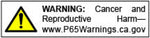 Go Rhino 02-04 Nissan Frontier 4000 Series SideSteps - Cab Length - Chrome