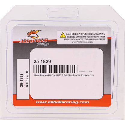 All Balls Racing Wheel Bearing Kit