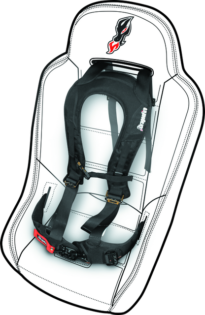 DragonFire Racing Harness Evo- Black