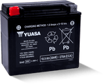 Yuasa YTX20 Maintenance Free AGM 12 Volt Battery