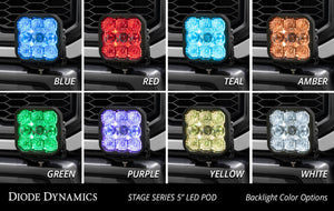 Diode Dynamics 17-20 Ford Raptor SS5 Bumper LED Pod Light Kit - Pro White Combo