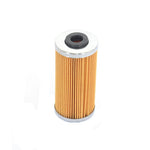 Athena 09-10 BMW G 450 X 450 Oil Filter