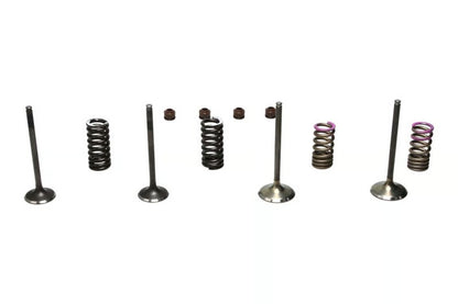 Wiseco 04-07 CRF250R Steel Valve Set
