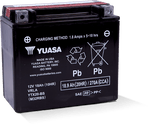 Yuasa YTX20-BS Maintenance Free AGM 12 Volt Battery (Bottle Supplied)