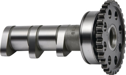 Hot Cams 09-21 YFZ 450 R/09-21 YFZ 450 R SE Intake Camshaft - Stage 2