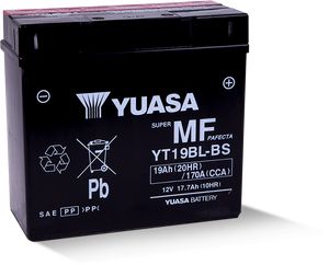 Yuasa YT19BL-BS Maintenance Free AGM 12 Volt Battery (Bottle Supplied)