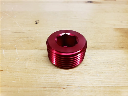 P2R PowerRevRacing - 1" NPT SOCKET PLUG
