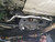 Ultra Racing - 25mm Rear Sway Bar - MITSUBISHI EVOLUTION X (CZ4A) 2008-2017 - UR-AR25-348