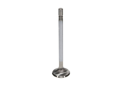 Manley Ford GT350 Voodoo 5.2L Race Master Series Exhaust Valve Set - 1.280in Dia