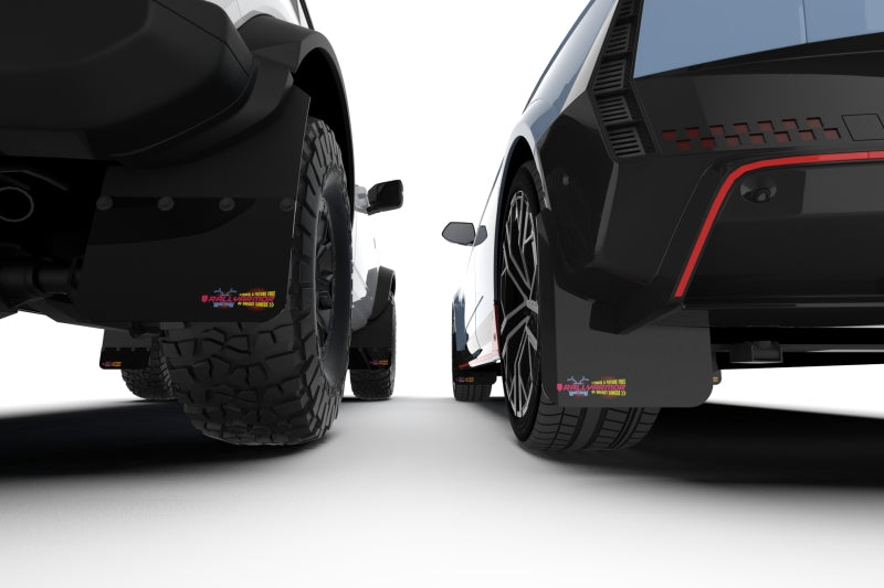 Rally Armor 21-25 Ford Bronco RR-PL Rock Rail-Plastic Rear Bumper Black Mud Flap BCE Pink Logo