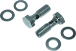 Bikers Choice Evolution Cam Big Twin Breather Bolt Kit