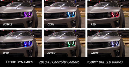Diode Dynamics 10-13 RS/12-15 ZL1 Camaro RGBW LED Boards