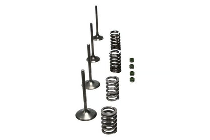 Wiseco 02-06 CRF450R Steel Valve Set