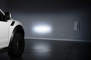 Diode Dynamics 17-20 Ford Raptor SS5 Bumper LED Pod Light Kit - Pro White Combo