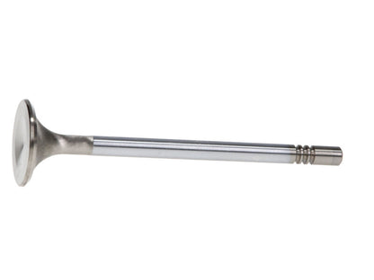 Manley Ford GT350 Voodoo 5.2L Race Master Series Intake Valve - 1.508in Dia