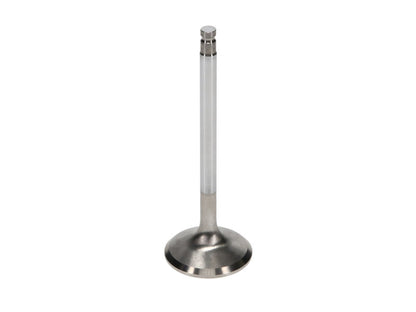 Manley 90-96 Nissan 300ZX 3.0L (VG30D - VG30DTT) DOHC 24 Exhaust 30.5mm Stainless Race Master Valves