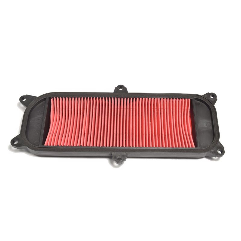 Athena 03-04 Kymco 4T 250 Air Filter