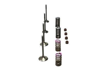 Wiseco 04-07 CRF250R Steel Valve Set