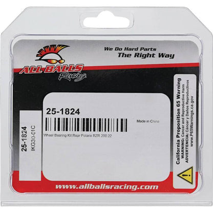 All Balls Racing Wheel Bearing Kit