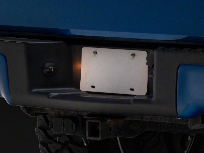 Raxiom 97-14 Ford F-150 Axial Series License Plate Lamp Housings