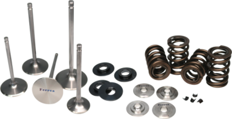Ferrea 09-12 Honda CRF 450 Single Valve Spring Kit