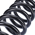 Camburg 05-24 Ford F-250/350 4wd 2.5in. Performance Coil Springs (pair) (diesel)