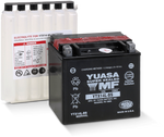 Yuasa YTX14L-BS Maintenance Free AGM 12 Volt Battery (Bottle Supplied)