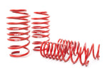 H&R 14-19 Ford Focus ST Race Springs Kit - 1.7in Front / 1.6in Rear