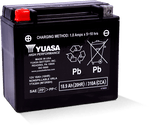 Yuasa YTX20H Maintenance Free AGM 12 Volt Battery