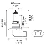 Hella Bulb 9006 12V 55W P22D T4 +50