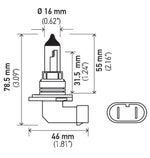 Hella 9006 12V 55W Xen White Bulb (Pair)