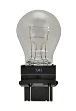 Hella Bulb 3047 12V 21/7W W2.5X16q S8