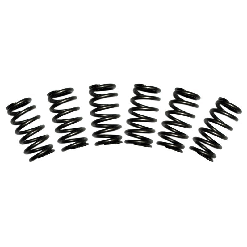 BD Diesel Valve Spring Kit 60lb Cummins 5.9 12-valve