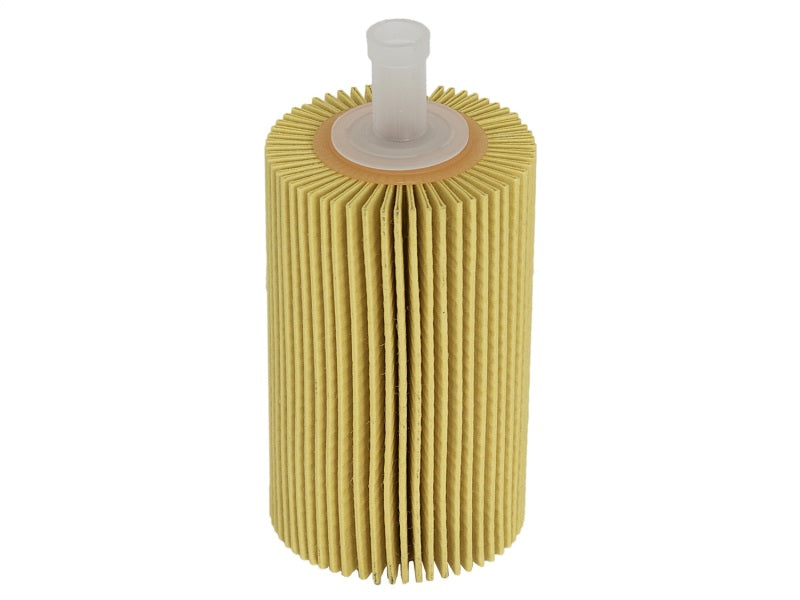 aFe ProGuard D2 Fluid Filters Fuel F/F Oil; Toyota Tundra 07-12 V8-5.7L